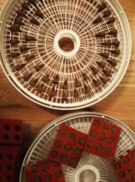 31888503_404774119997948_872713663507595264_n