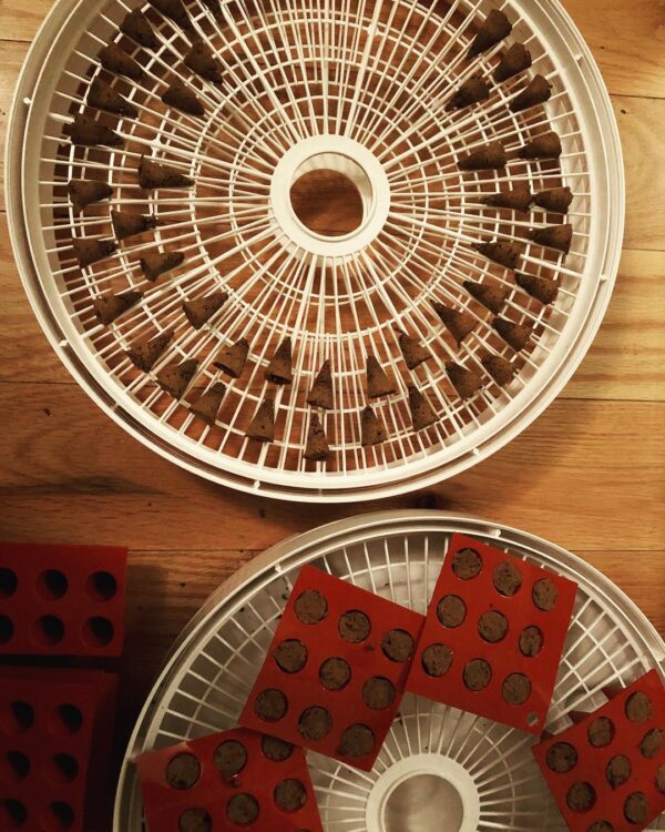 31888503_404774119997948_872713663507595264_n