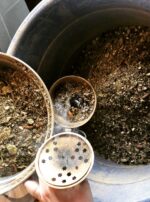 0388D724-C958-4303-BC4D-141E94378A59