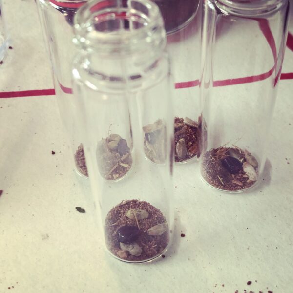 Aldebaran Oil Bottling Aldebaran Oil Bottling