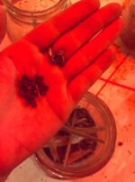 Aldebaran Oils Gallery 2