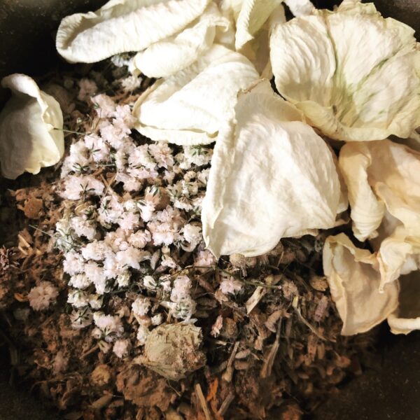 Ancestral Comfort Ancestral Comfort