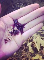 Ancestral Empowerment Gems