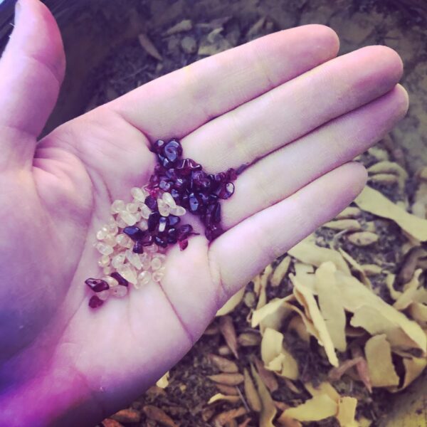 Ancestral Empowerment Gems Ancestral Empowerment Gems