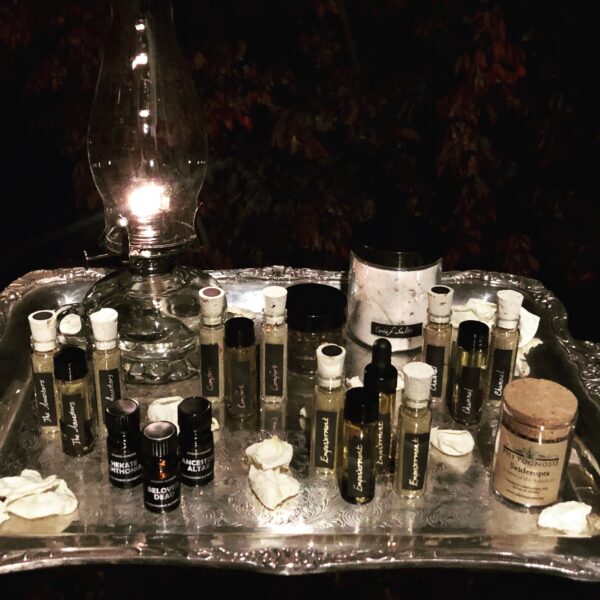 Ancestral Series Family Portrait