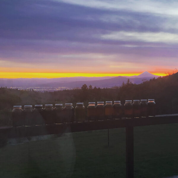 Asclepius 3 Son of Apollo SOA tincture oil salve Asclepius 3 Son of Apollo SOA tincture oil salve