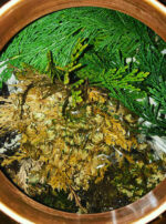 Asclepius 3 Son of Apollo Water Still Pot Interior