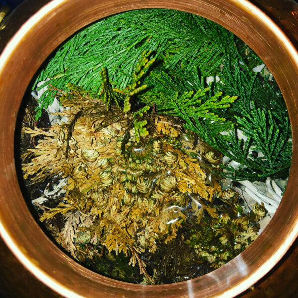 Asclepius 3 Son of Apollo Water Still Pot Interior Asclepius 3 Son of Apollo Water Still Pot Interior