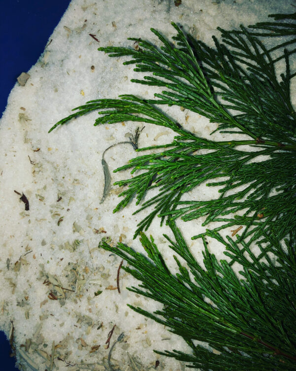 Asclepius 3 Son of Apollo bath salts Asclepius 3 Son of Apollo bath salts