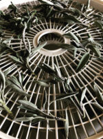 Asclepius 3 Son of Apollo drying white sage powder incense asclepius