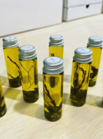 Asclepius 3 Son of Apollo oil gallery 2