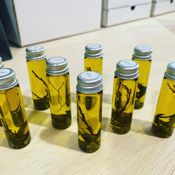 Asclepius 3 Son of Apollo oil gallery 2 Asclepius 3 Son of Apollo oil gallery 2