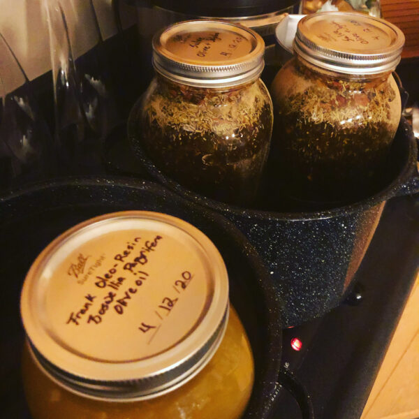 Asclepius 3 Son of Apollo salve Asclepius 3 Son of Apollo salve