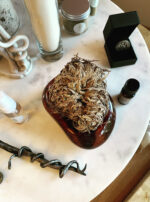 Asclepius 3 Son of Apollo talisman gallery rose of jericho