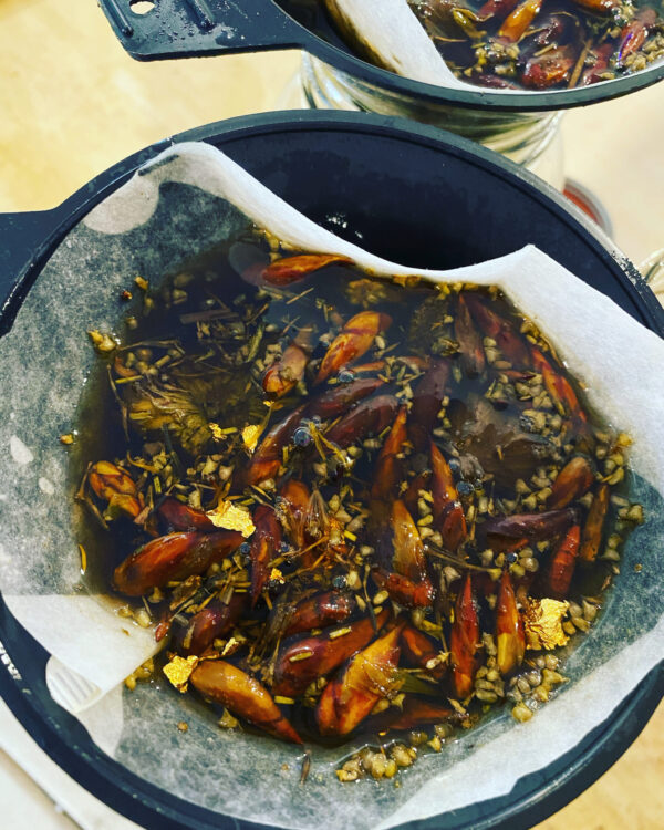 Asclepius 3 Son of Apollo tincture gallery Asclepius 3 Son of Apollo tincture gallery