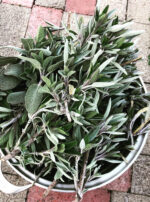 Asclepius 3 Son of Apollo white sage harvest powder incense oil