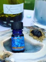 BPAL Regna Pacificae Deneb Algedi