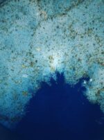 Bath Salts Gallery Deneb Algedi