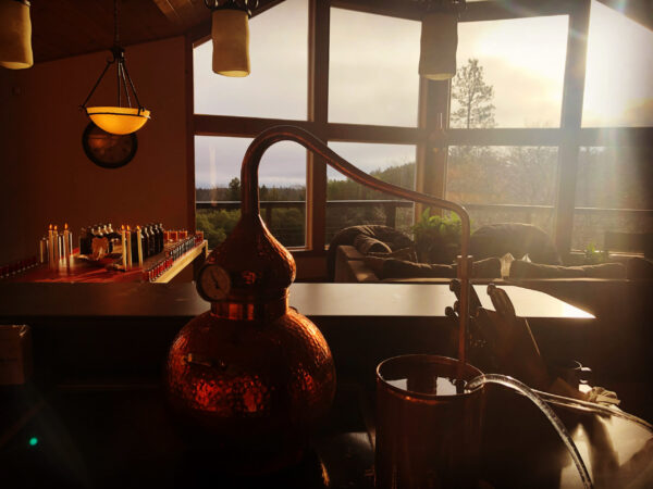 Exalted Sol Hydrosol Exalted Sol Hydrosol