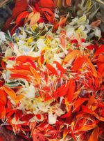 Exalted Sol bath salts