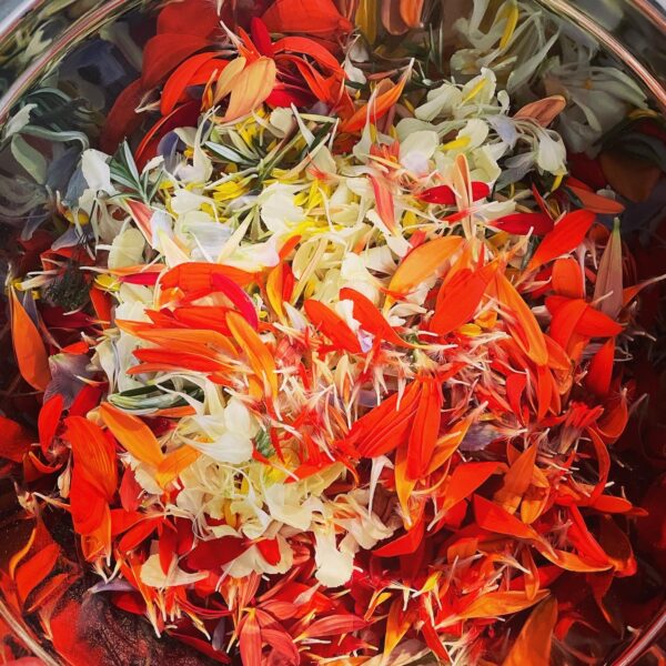 Exalted Sol bath salts Exalted Sol bath salts