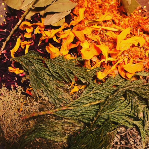 Herbs close up Herbs close up