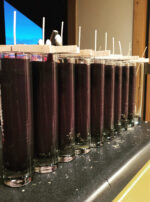 Hermanubis II candles