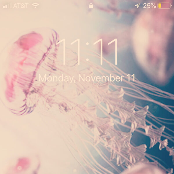 Hermanubis II eleven eleven Hermanubis II eleven eleven