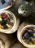 Hermanubis II oils alt