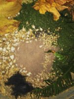 Hermanubis II powder incense oil