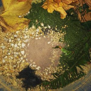 Powder of Hermanubis II