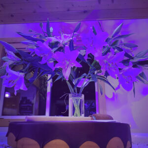 Descending Heart Bath Bombs