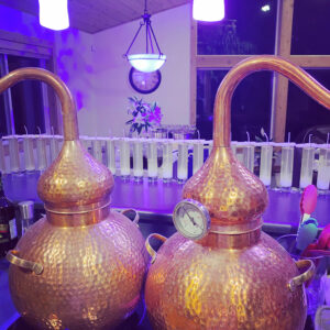 Water of the Immortal Heart