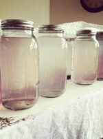 Immortal Heart Waters