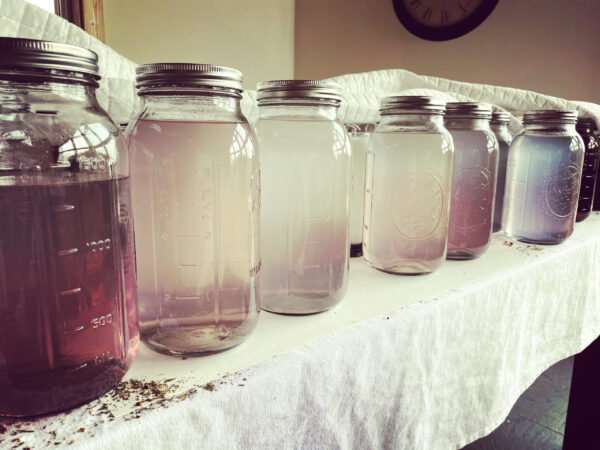 Immortal Heart Waters Immortal Heart Waters