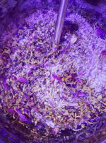 Immortal Heart honey making