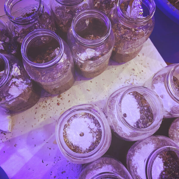 Immortal Heart tincture oil Immortal Heart tincture oil