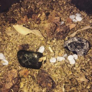 Deneb Algedi I Self-Igniting Incense