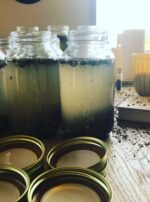 Jupiter in Sagittarius Oil Lamps