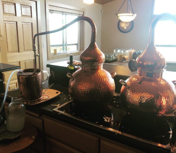 Jupiter in Sagittarius Water Main Jupiter in Sagittarius Water Main