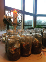 Luminous Crown Oil Tinctures