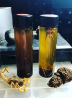 Mars in Scorpio Oil Duo Scorpion