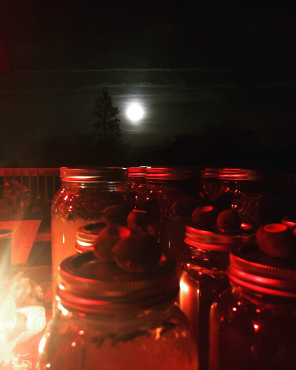 Mother Algol Oil Blood Gorgon Process Gallery Mother Algol Oil Blood Gorgon Process Gallery