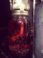 Mother Algol Oil Lantern Red Gallery