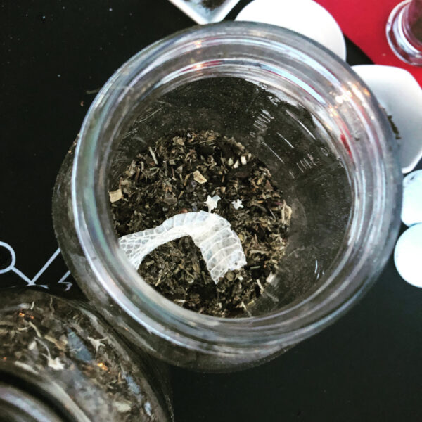 Mother Algol Oil Process Mother Algol Oil Process