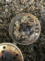 Mother Algol Powder Incense Oil Candle