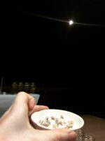 Oil Lamps Water Deneb Algedi