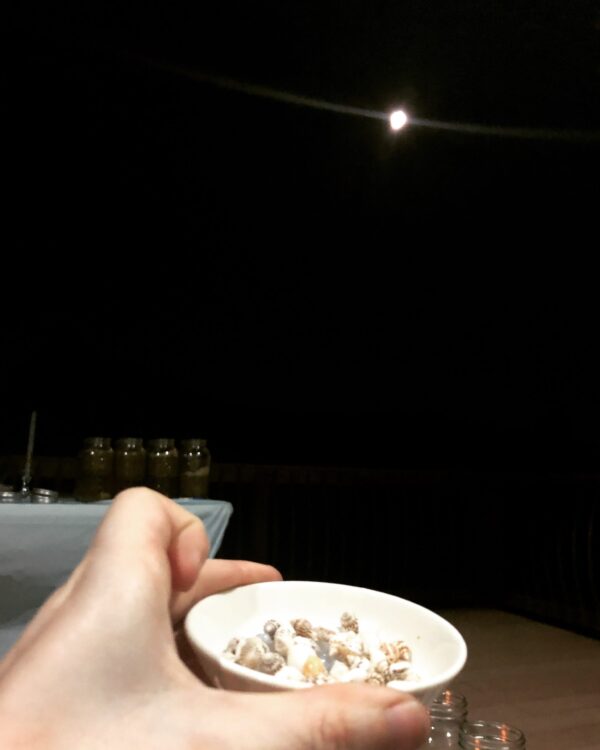 Oil Lamps Water Deneb Algedi Oil Lamps Water Deneb Algedi