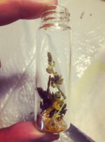 Regulus Oil pre-fill