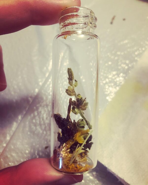 Regulus Oil pre-fill Regulus Oil pre-fill